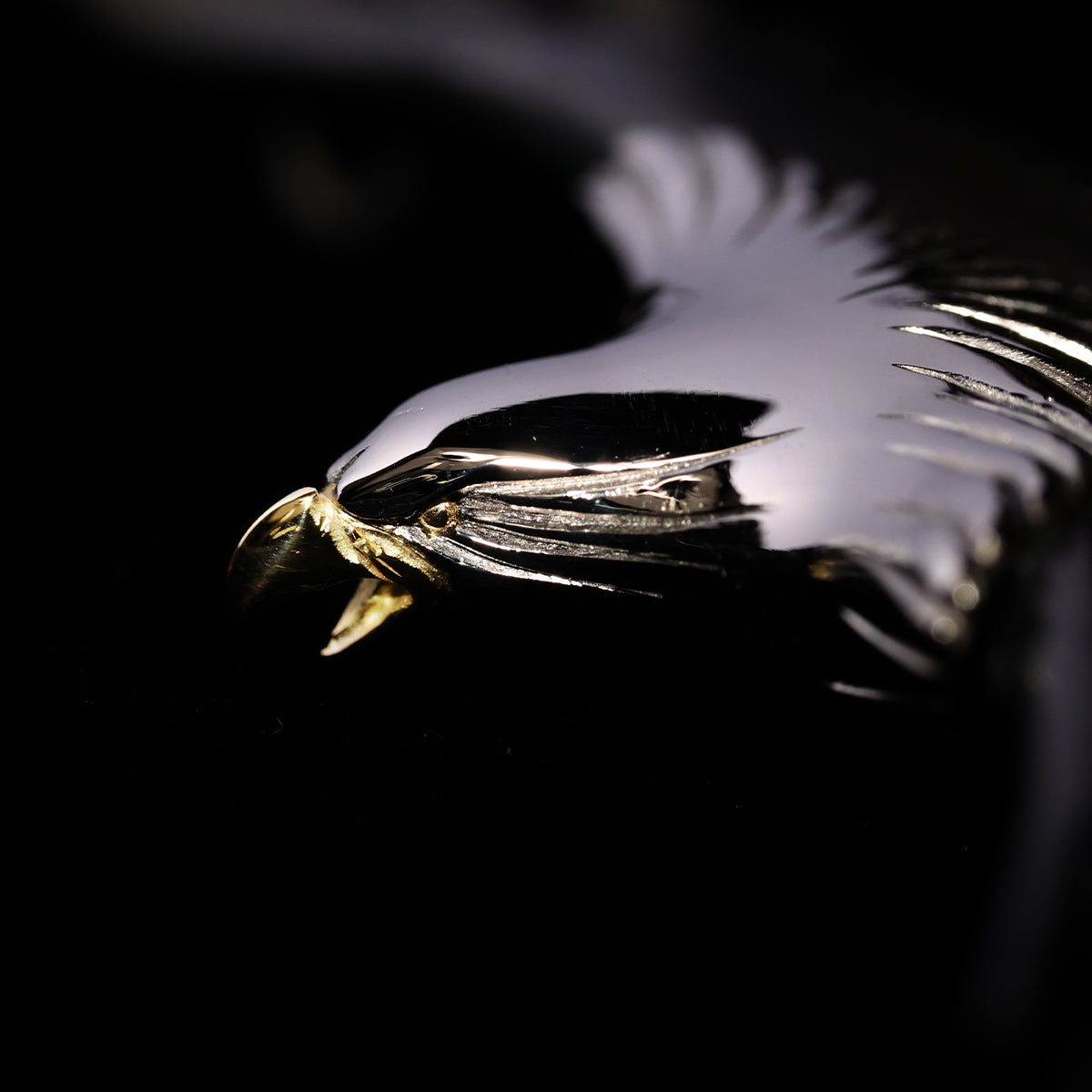限定品 白頭鷲 ~WHITE HEAD EAGLE~(SPモデル)