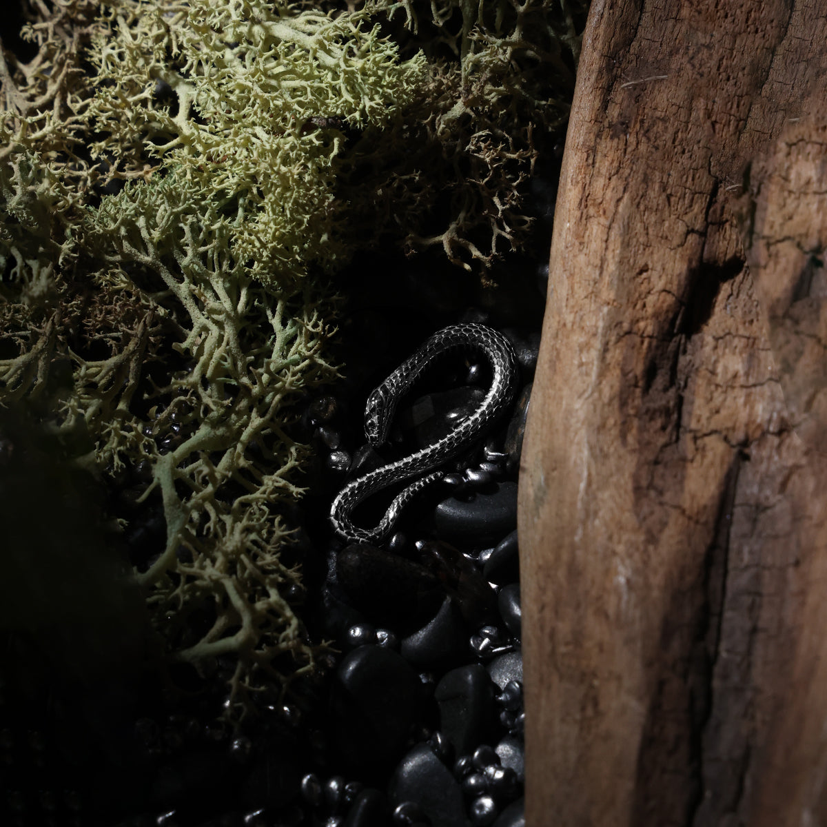 スネークフックPT