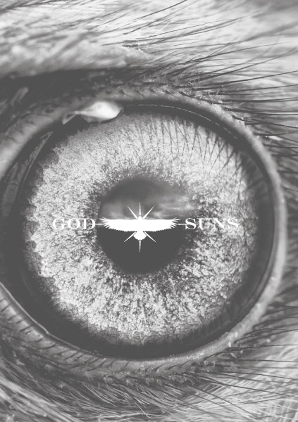 価格改定のお知らせ