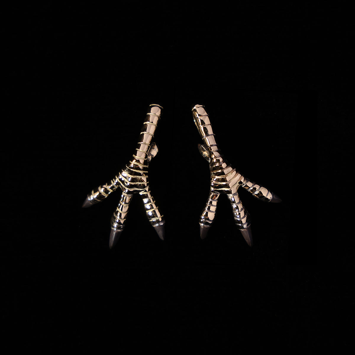 白頭鷲シリーズ特集 – GOD SUNS