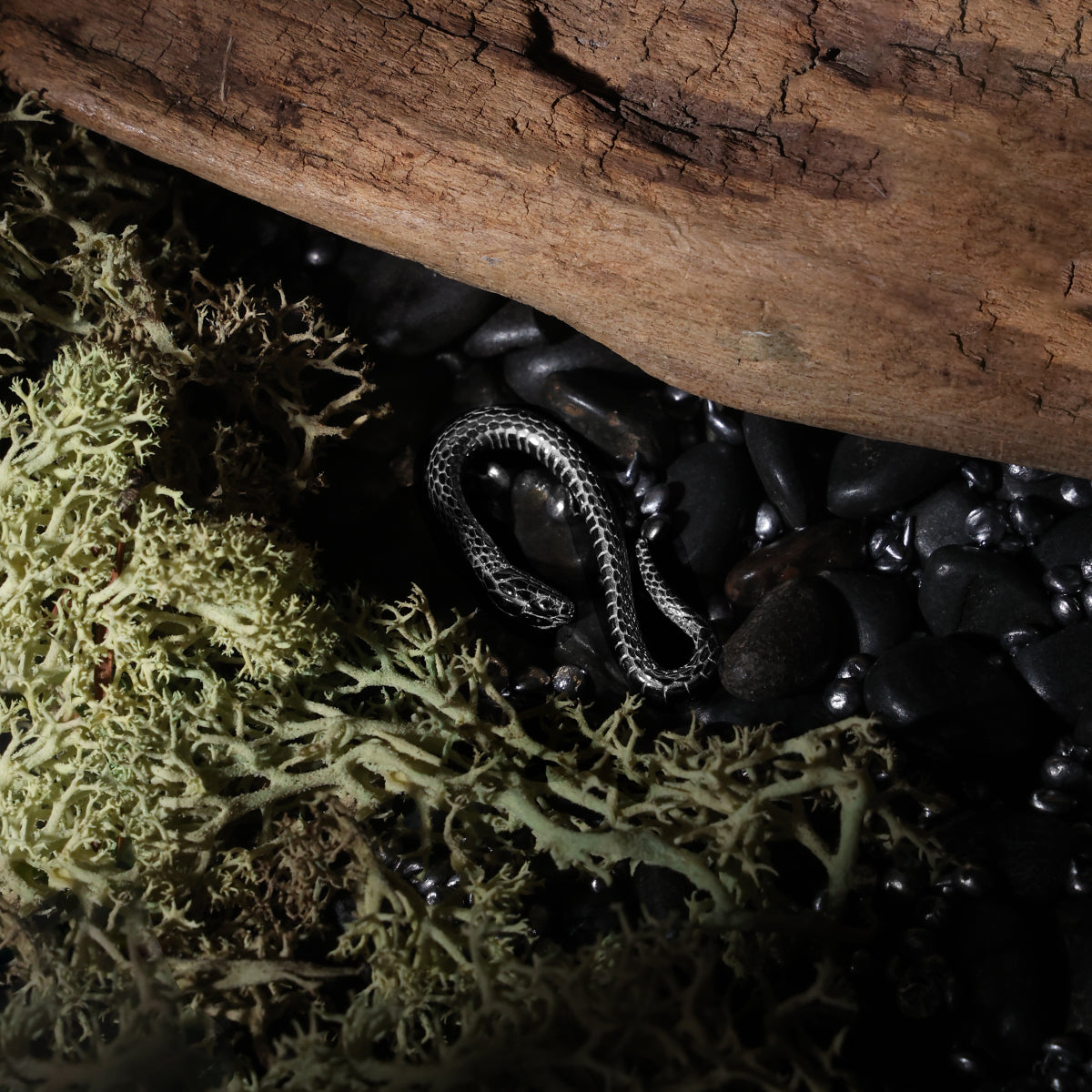 スネークフックPT