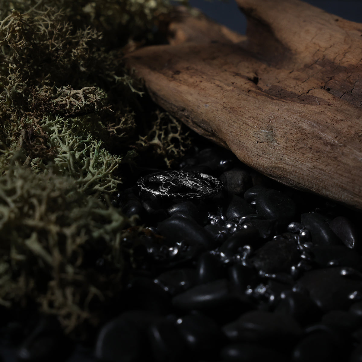 スネークホイールPT